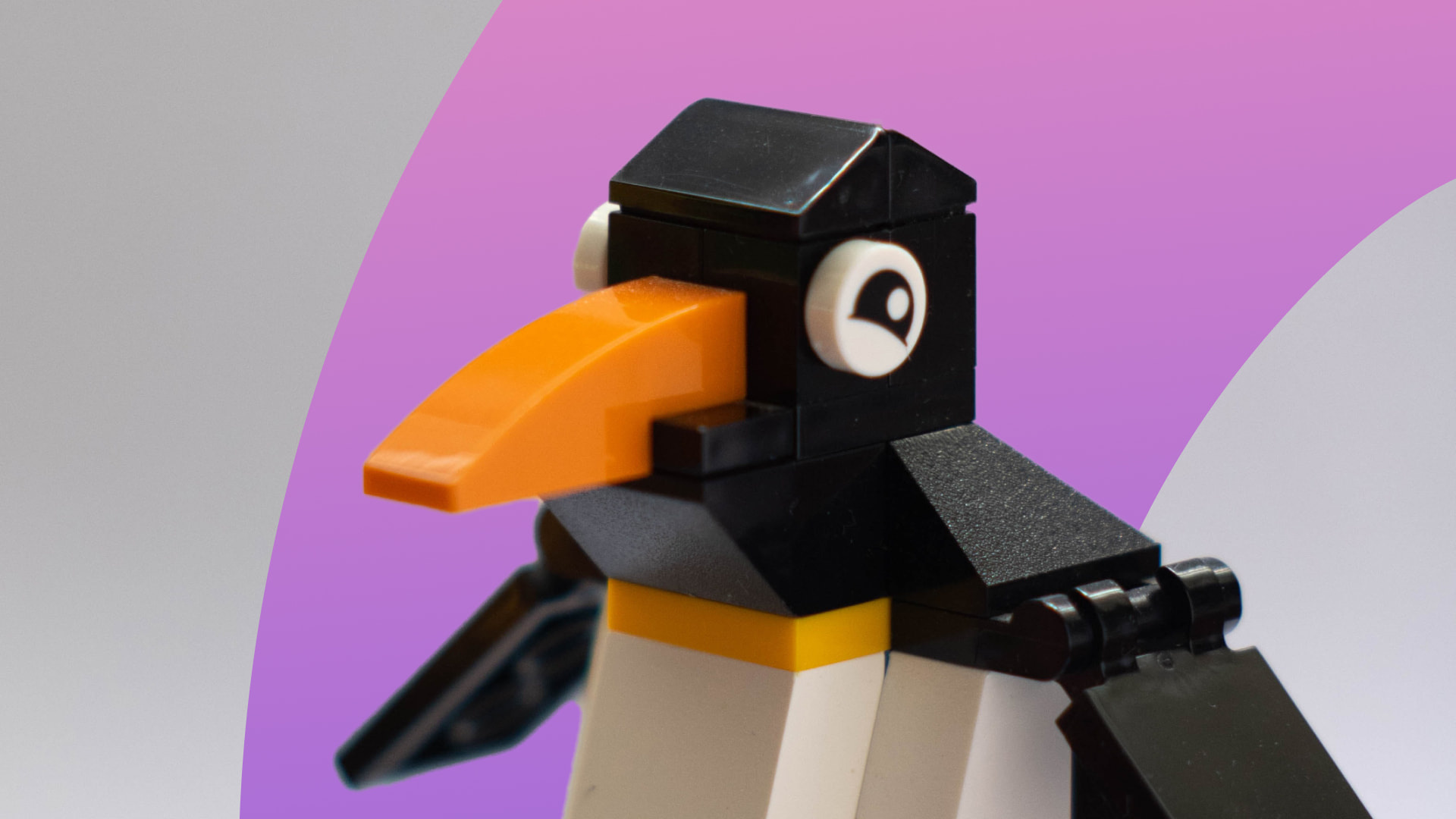 Creating Animated Videos For Social Media Posts